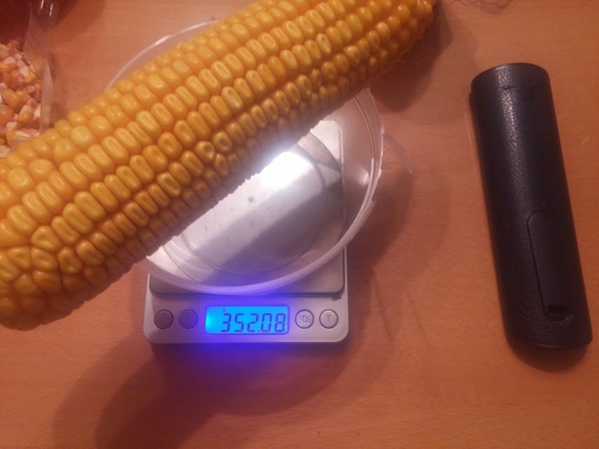 pdA44CdEEhiwdhrkKbKx8AY2Gur82cvfhiKt4vd0