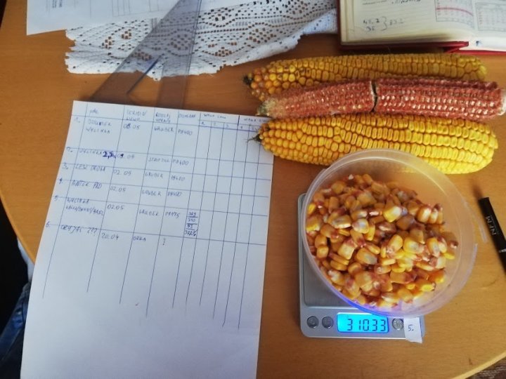 mnfqDeZLNoAOXQzHdY4GZyyDhm_DXdXe9PmDaQ5W