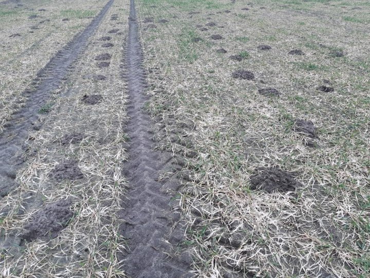 eakjJot7FETwVwUxZTQc8nJmWJ6_1sec13ZHMoEZ