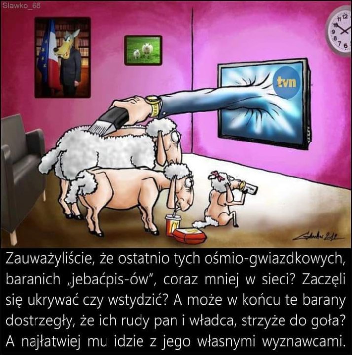Może być zdjęciem przedstawiającym tekst „tvn Zauważyliście że ostatnio tych ośmio-gwiazdkowych, baranich "jebaćpis-ów", coraz mniej W sieci? Zaczęli się ukrywać czy wstydzić? A może W końcu te barany dostrzegły, ze ich rudy pan władca, strzyże do goła? A najłatwiej mu idzie z jego własnymi wyznawcami.”
