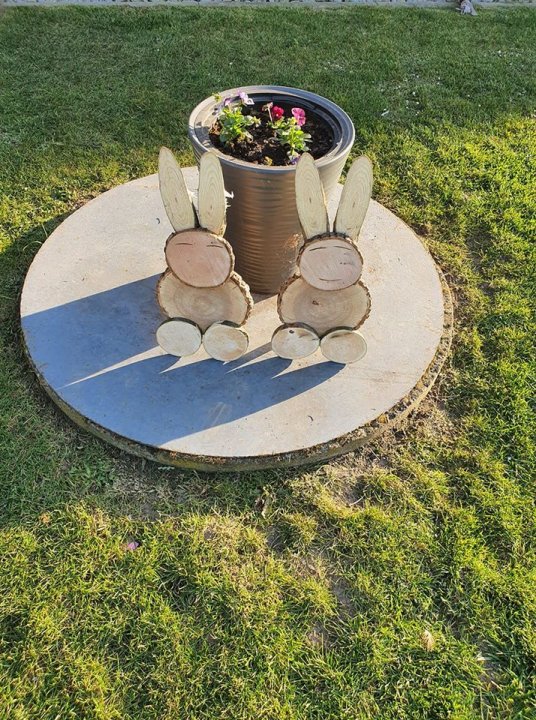 92708341_1617602328378390_72565459274841