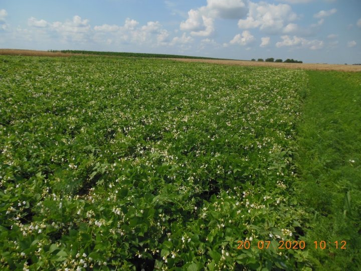 AM-JKLUwzcnBQDnnZ4xT7v4HpnDcKcq6ikF1Hc3V