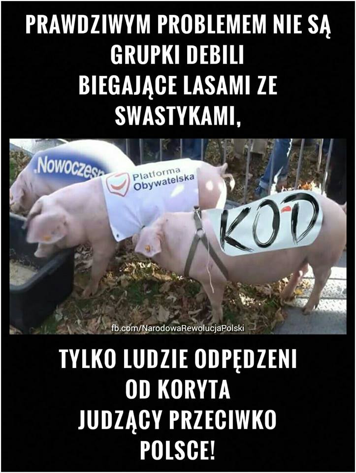 Zdjęcie użytkownika Polska Rewolucja Narodowa.