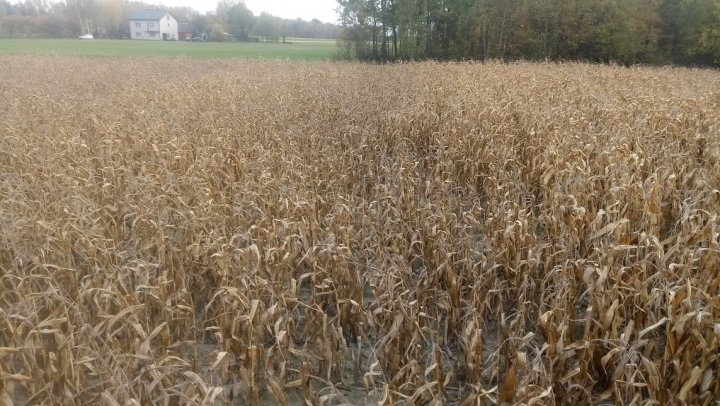 FZM_qQEzqEOwU066isIiH0rUtpjjZCIMcCTkYLa3