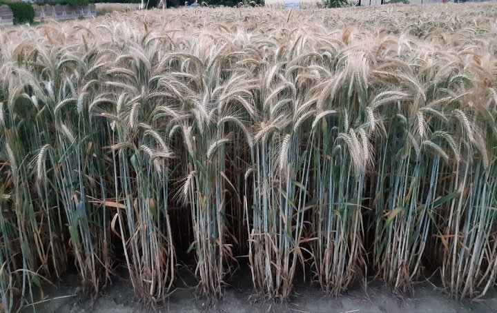 Nuyl83X9uIA8Le5BJwiuLMx-r0eOvO0I6Z58pqci