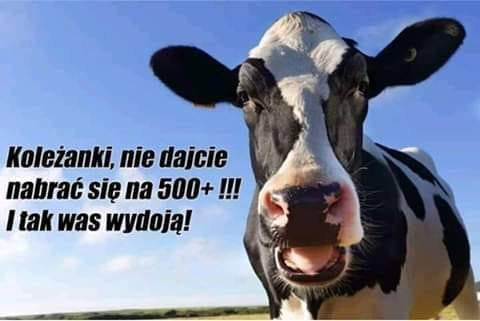 5cab1c1b99527_p.jpg?1554804024