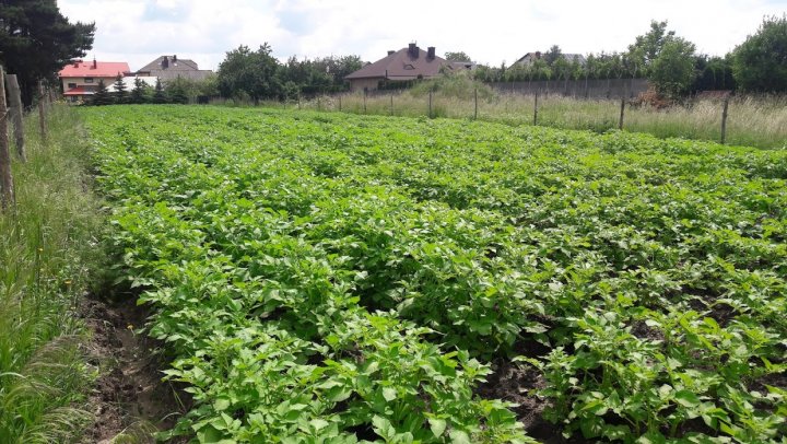 M3ra0kHVU2snDAOMlY8z7uzP7YP1sVwraAANZI7OkyBkA-1ECd1xnkvuRCoi4UxQZ8BlAPhPKQVnQ3m_91pz_pcVpwKJhgsG-Rqd-YKq4V-_KCYarRb7smbZzm9tt19WcMFwUWWED8fcgdRJfPtTCESJGFS1CjZyEgrh0bLXE4c5Ic-3myk9w3oMFqzxJNDy53N6SnId93HooCZ0IVbFwQ7Nj6iWfRgNMlU0PPD1d85FfkPGg4tcDSnxI8ol9WqI2ZDeALlj0VM5lnovXWpM2xnuakV4KjSagOJat1ixYCaekM9VlWXaFUz4IGNkileVRlFTjDi_m2TveAWk8RBSMh-UowFtWyJ2wnz3d1oBIQ5hKf9Txm4HAMfd_WbFvvoGI9_V4akNK79m0qvy66XUmmle38zyruQwOHV2d_LGsi5MSHAYQ_7lbdL60Ob-rh-xM_CQmPvV5DFyjFQaIbuYL9ME8102szM183x0Sr0bTnvMn-gZMsHlTk3aisHvUjy9Ky9udaDAXu1jajb62ElWuk_dfHK7lYKv5g5PX1Tlr2ZjEiPV3Wx0V-ecLggT_y8cq2iOBDZRoIfS9gvlSSXOa2zzhoI8C0oa23LFsVj3AvPY96AYyQH93rMz5IODIt0Lb5tR9Pps1WMAzMNtQQb2z7unLlUDZ5ZIHJcyeysy0chcg2PN08GxwZthPj98Mg=w1240-h698-no?authuser=0