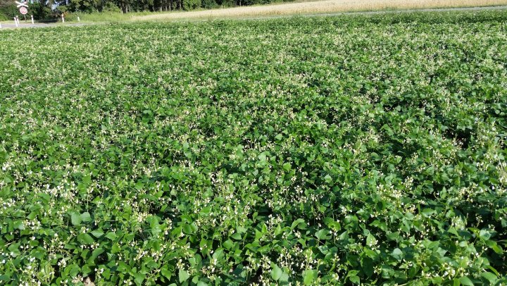 AIL4fc_8GIdpm9Agtol8nFxmA1P_vZqjqelnmJM5