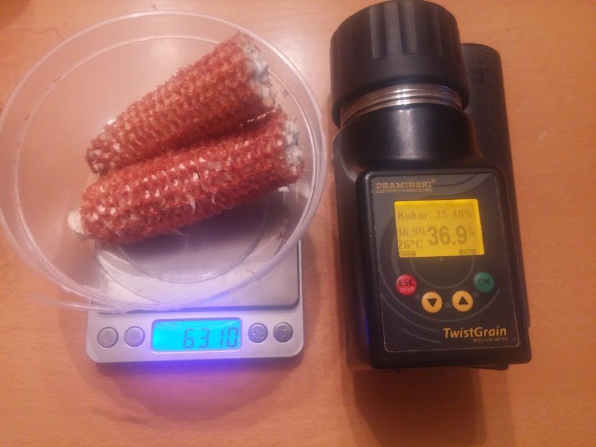 Rg6znRFmMzY4hDTpQxH4mOyAgkGJlquXFTRXunTz