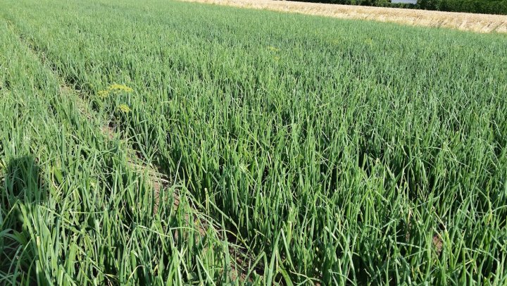 AP1GczPiUPtbzqsPuKyJ_R5TCEncE6B85KHYJWyR