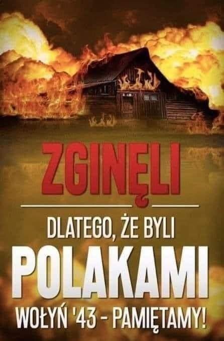 293424568_5319003804844123_6795776799533