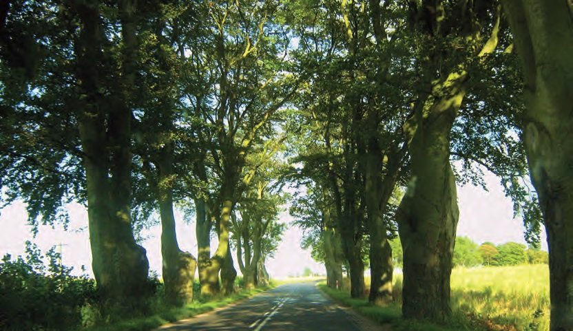 8b54a275375505d37617d6a47af92f1de507eb1f