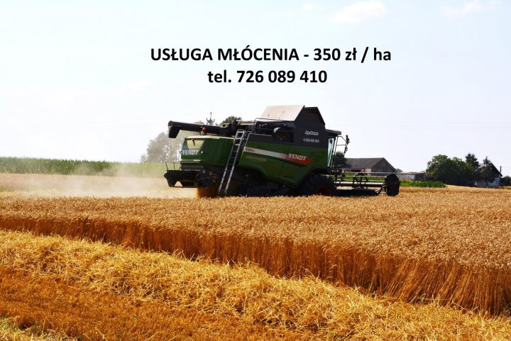 67297173_2572014569484427_23823730557761