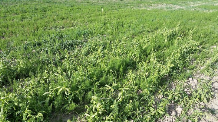 AP1GczNNkpsL-RzqiSBQ9jNI6IttDeyOrT8Hw09p