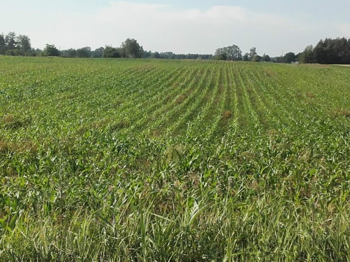 ZlN-IT_o21Om7cwyPJKl4Zs-HbMqTMJemkkZjvkWVOxwJH2c0ZxfhgJnF-U5N4Xc0K0yIt4eQAySS8FpLxSo0XySpdT2k7lfqBn-ZSPpMqcGWRP_r9l5jSIoJQTgCd3qsBJQ1HO6O_-xwfzgptH4VpP9wGkBwIeE71uYEyY_aincI5WzlydAl1-KXfDBA_POHijHfrZmlF-tH5m2UYoOBWghz8j-yK1BuT_ZMz_QmZ8M7RU0CI0N5aU_XWkrGL3UbWWy7b8Bu9561P7Vm7Gr5_8N2rbvWoUnBLGhoflb6c0hLdxCIWwBVDO9xDA23dAyn555KGD6BSQNzc8X4WdjiVKr8oLD02sCYaoHP3CjzkpX0ry5HjFGHE90zhlhOXHpCDE0esmc__tePnvtC0R7fecKfLfM1EmDcwFgXJizro5iayIRyYtEjHdkA__bx4KHheaIju56ZR5cs-LLCpQegnmxpUlTge2V_q2bJgU-qnJJRw63z1Y_GQ1bvvqPb1ASaMI6n75OF5Q19li9IrQpFEqruHJmANt9qCzyCKVfiZwWULKdtN_kd-gI2FqnK0P8GnvpYlmdY9xz6cSkZPZyWekK3kr5vmrziZ2hr4-GhQoRQVvrTW2xppM0VfjxaA77lw4zI7ySmDrmQWDgsnbPC4mQtUl5tszZ4wfcJKDG_PFaytV09Jh5aho=w876-h657-no