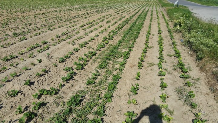 AP1GczOMziMCOFnVopK9A9n8E7xnrBQU4OxvUd0E