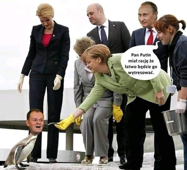 242212185_684612349600065_37926321697897