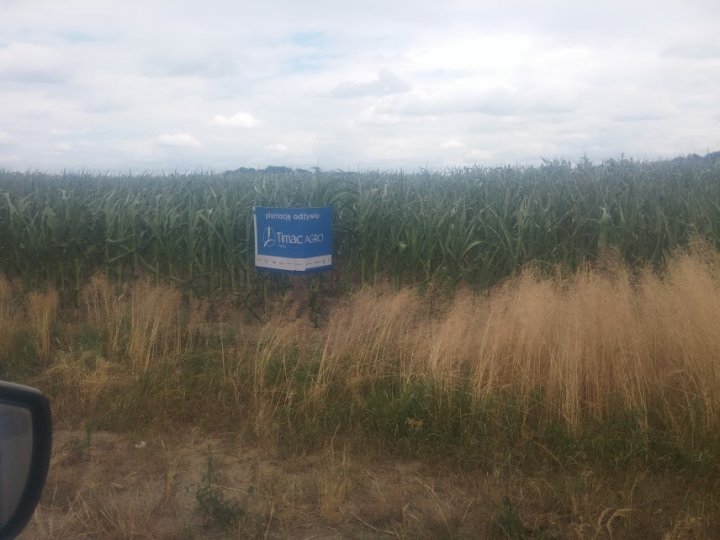 wy2lrGUYLi5tYgKoKCs4-buaPXw5ZohRcdsMRtxy