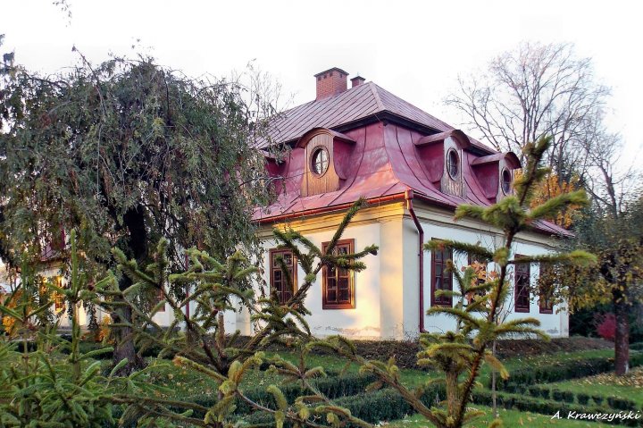 Może być zdjęciem przedstawiającym drzewo i na świeżym powietrzu