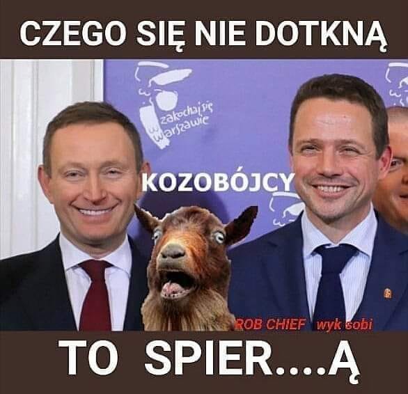 103584958_2749296465310129_4999164100161