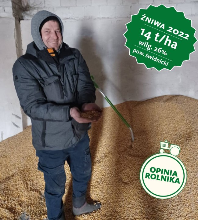 Może być zdjęciem przedstawiającym 1 osoba i tekst „ŻNIWA 14 t/ha 2022 2022 wilg. 26% pow. Åwidnicki świdnicki ROLNIKA OPINIA”