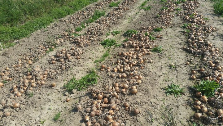 AIL4fc_1o-8mW0jgNY7A5mK3ZPyi7knX-Wsx4cMW