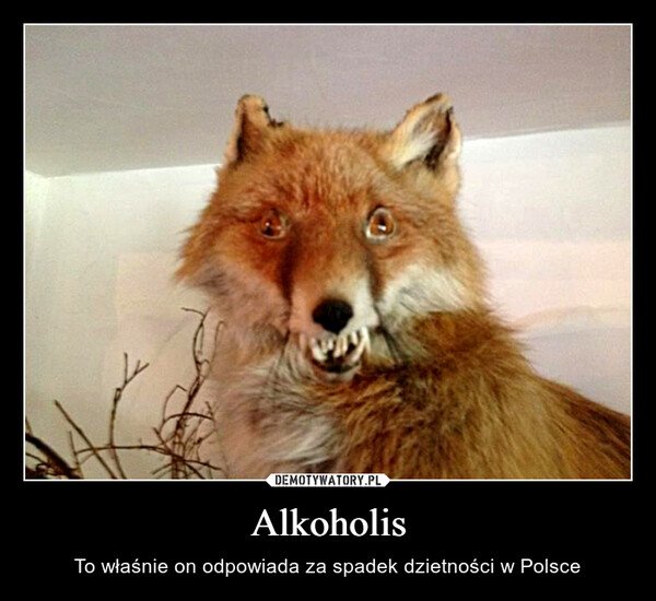 919-alkoholis.jpg