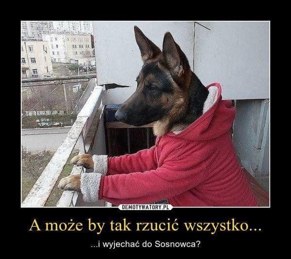 92684849_10220891253863024_6892516327815