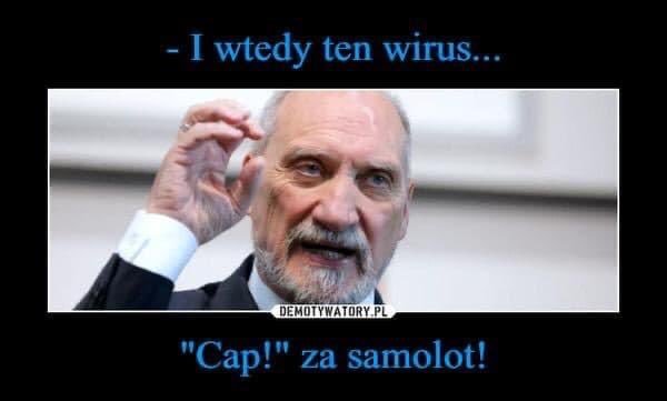 EVPM4noUYAMeOkm?format=jpg&name=small