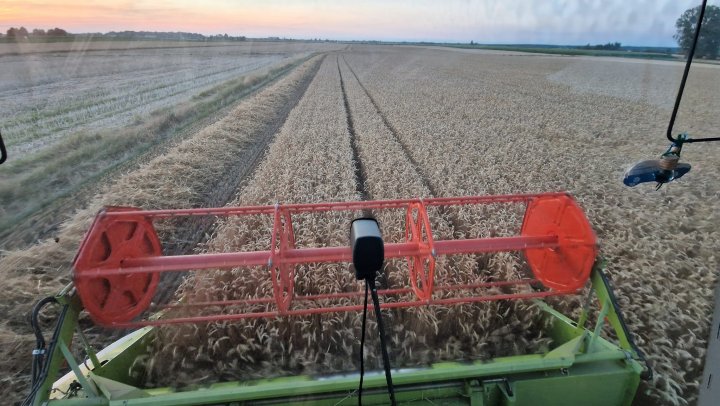 Brak dostępnego opisu zdjęcia.