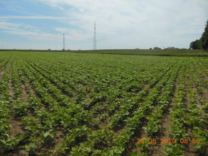 ACtC-3dr2YhYR2V7YE7eL5H6vXJqUTcQgIM7HpGF