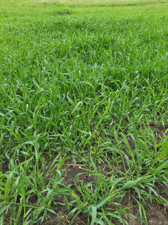 Q-vZryMRUZenJsep3E0cXr968LhaM12vA_X4oahN