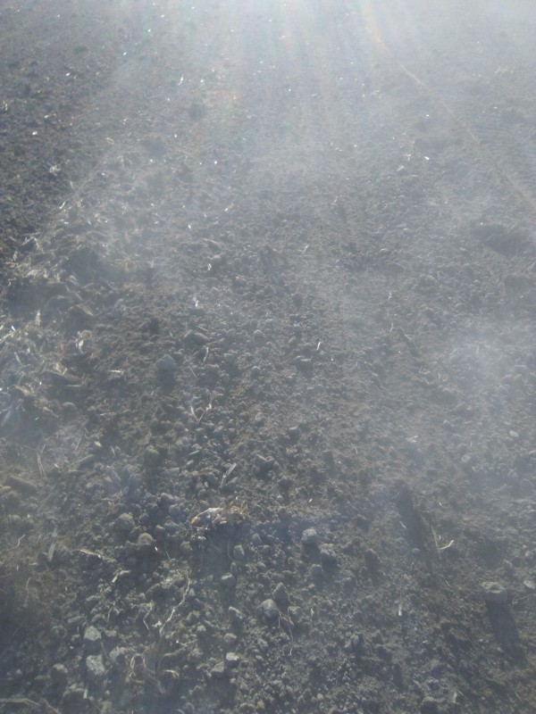 93dbab844c71c667b769d164ae6378d4_orig.jp