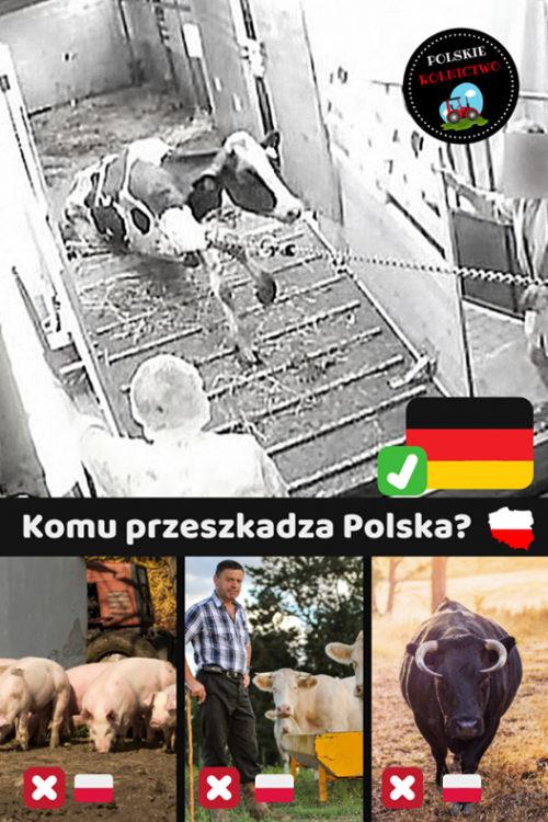 Obraz może zawierać: 1 osoba