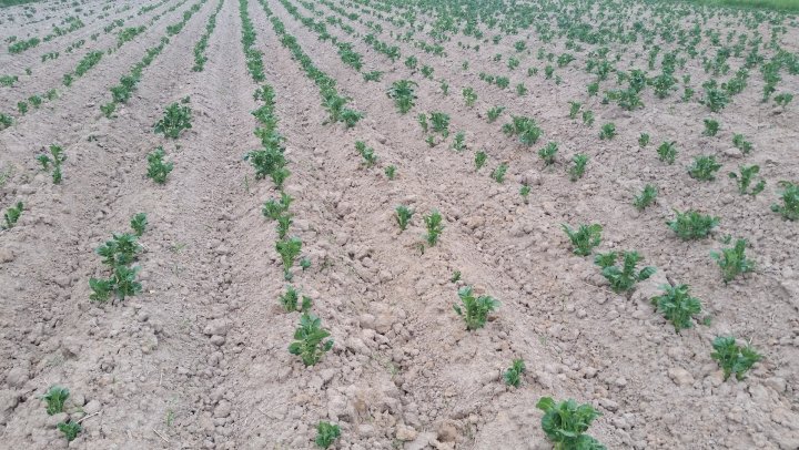 AJFCJaXfU1gTifkXAIAH5S3Xv-2x6WYx7MY924PL