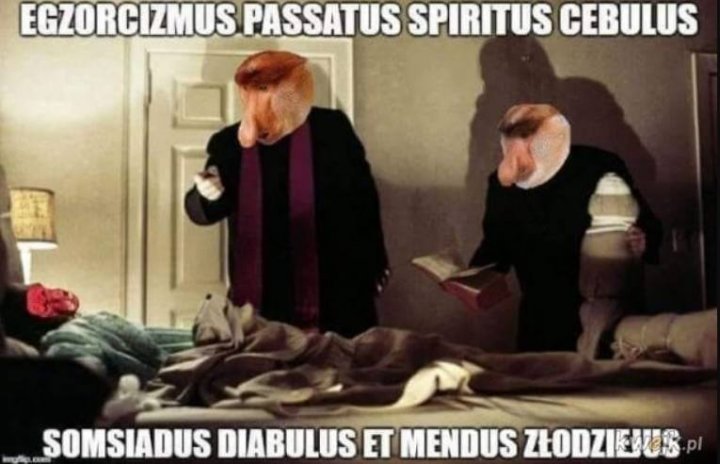 Jak się czujemy sąsiedzie? Na Dzień Sąsiada zobacz najlepsze MEMY. Nie ma  to jak sąsiad! - echodnia.eu