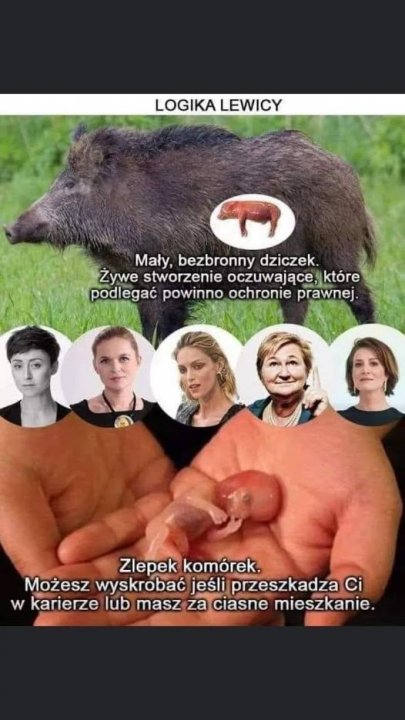 141734948_722993825278124_86728210301278