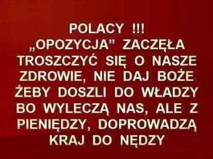 97426602_247691269625323_810503093744566