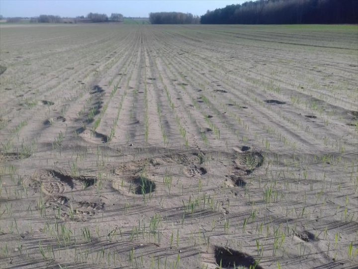 ChomikImage.aspx?e=zhEs82smVQMj8IlBlxnuX