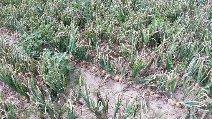 AP1GczPN3hvCkTL_MyWScf3WppHTmwUjdv6tOyeV