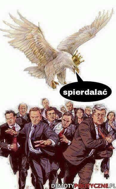 40158739_2069134943110835_19979054247323