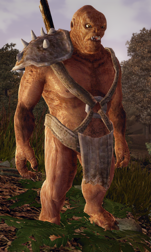 300?cb=20140505173330&path-prefix=pl