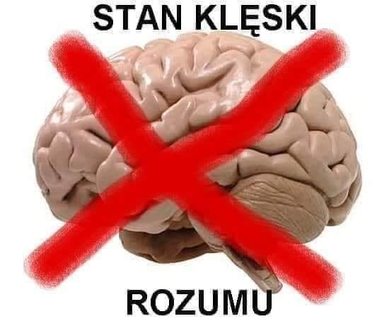 96359735_1118557718521734_24592116484942