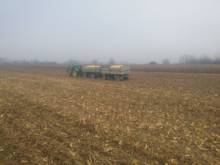 uN3qw12SDAWZysD3PukoPinnkA--j6n0OatPKaYK