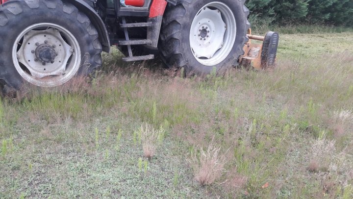 Doq1PFYeA4xlsrhERzvBlq0t0Q1afGlIRYSEeRmqs2V7iJfopKxOwlYrFCsIZhEifUxoQ1CajAEuPPAsAtB1bFkKbBa4H9nZ9sipTEZmBhGebonOpi9EqyKHFd4yXbbJkqwB3sJQ8h0O5uI0ieEUTQ-yCPaLPbCyXYJHSrc7etVCWvVxx6RzE4yLMMbmmeMqLqXky5C_MM0D9CexBExZO2odfURXiSmVSKewmTbGrfAnNbcjyt_rr01ubtLhM5Vvflt78mRQ6rAw7WTe-IWyZoaxdNIJmTRGuRooEyxH72SEZuropKI7vqogoh0QRjaR6NJYIH7a-zC28uMJBK6djpi6n4oVHS_5Q-0sEVUJy79ZhbVNZba07oUksGSE7mJNIIE5wNb7rdnViluxiQ_BuLWqzsEoFOPC2VS4F2ZlTBQlAt-bJcxBuxClIW8k5pmPM9uUpt0qHrdBj5HGK07I9VkKmrH9S6uW-EdGX-3GsXVsScoXEnduj6DttGO9odpT3f7s1x5QRiZc1z8AKOy2nqumHEXiYdg9QIqrAGAGyOAGkIUL2yUUngU8RyxTPrJcasC54slAWh7onDOimExWZPslhtNvHodfkGpPYDi2sNMBjjdcYfbeK4LHagczBnPT-Ayk0bPM57BBBDT6Ff94FyKK8id7QtT6nHSaf9x84nNyWEtfqbtcG93GPKqrwA=w1240-h698-no?authuser=0