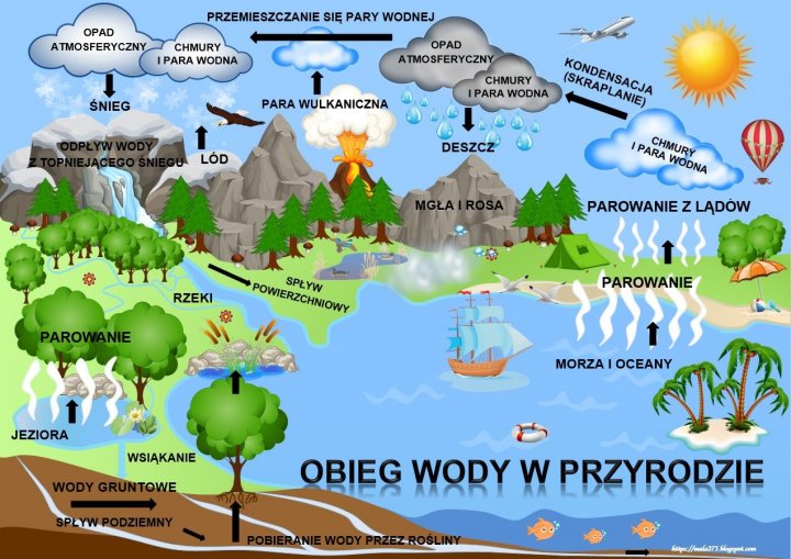 OBIEG WODY W PRZYRODZIE | Edukacja domowa, Edukacja