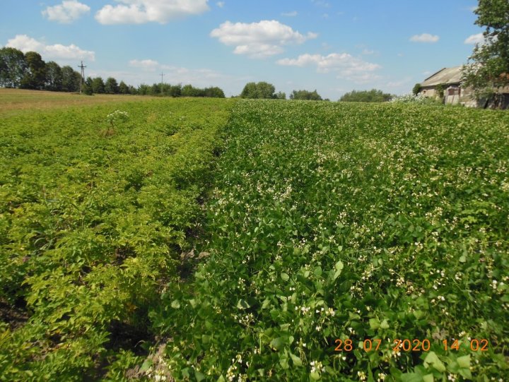 ACtC-3db9Y-Ruu3MKSPf5SE07FxwKoTG1clu3CUS