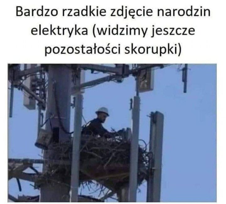 Może być zdjęciem przedstawiającym 1 osoba i tekst „Bardzo rzadkie zdjęcie narodzin elektryka (widzimy jeszcze pozostałości skorupki)”