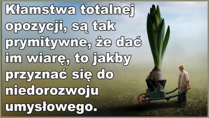 273517091_4882602658487596_5803978135515