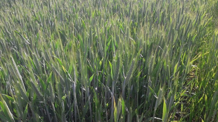 G--zOOF-ezxzqE1onjzD8RdUVIezem6vFy75VLf_XN8hHDeJozz56s2NjVDHL1m3zqQESWVYsHldvL8XWpm-k4qBGbUhxaG7J6N0wtbk039E795MHL_iG5anelhJtieL6vws4hTRZSDM5WYbF2NwzgzGwyG0vpKBb48wdQoyg2w_nHNHB3oSm3Ga2ShgMhUOJrKJqqXktdG94jA3NBz1oQqYUtFF_z4vqtzvWM5zPsH_3p19ifbRL6kB0gNiioowStE-k7P7LDx68w930Z_KhzhLiuTEWnpC5GwU8lS5GhtS82hSF5R_wcpyJ-tJbH91QwzBCoii6XkVrTVfbNtKCUs5RbpQDfZj8t22HsstbDDtHu_GS5ndQ6gccuSnD7P5QQ3qPgvzEkKabsElbEvg2itP685GCbbHgYoUHjSH29pC24fM_Xxyeo3Oo7RVGG3tqNF5u1uiHCeVxfFrD7gHq7YQS0_Wugmw9fcZXDI13w3lCEpWl8zkgHDc9gzx6trbazf5r5nWjiQojk8OeYnTe9NqRKnlsooo2z6RGQQLoGM2RHnsntP1BfQaKBhsDoTRQdSyh5Z-Q-Minq5wTNf7dVIfbKmAMW6NnVviaG5IFDhVZD8qfO3tm2fnUY0X1gNjY5rng7g7WwssRYTK76mkRvqq8RgKnTmMbACsDof1zj1Lt3VRA--vRf7kw7Tq4Q=w1346-h757-no?authuser=0